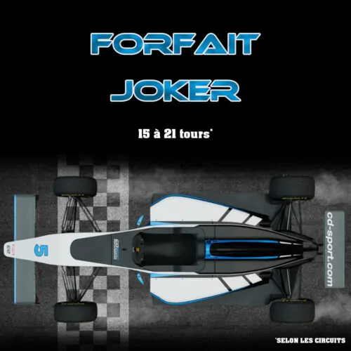 Stage de Pilotage joker monoplace
